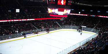 Image of Calgary Flames In Las Vegas